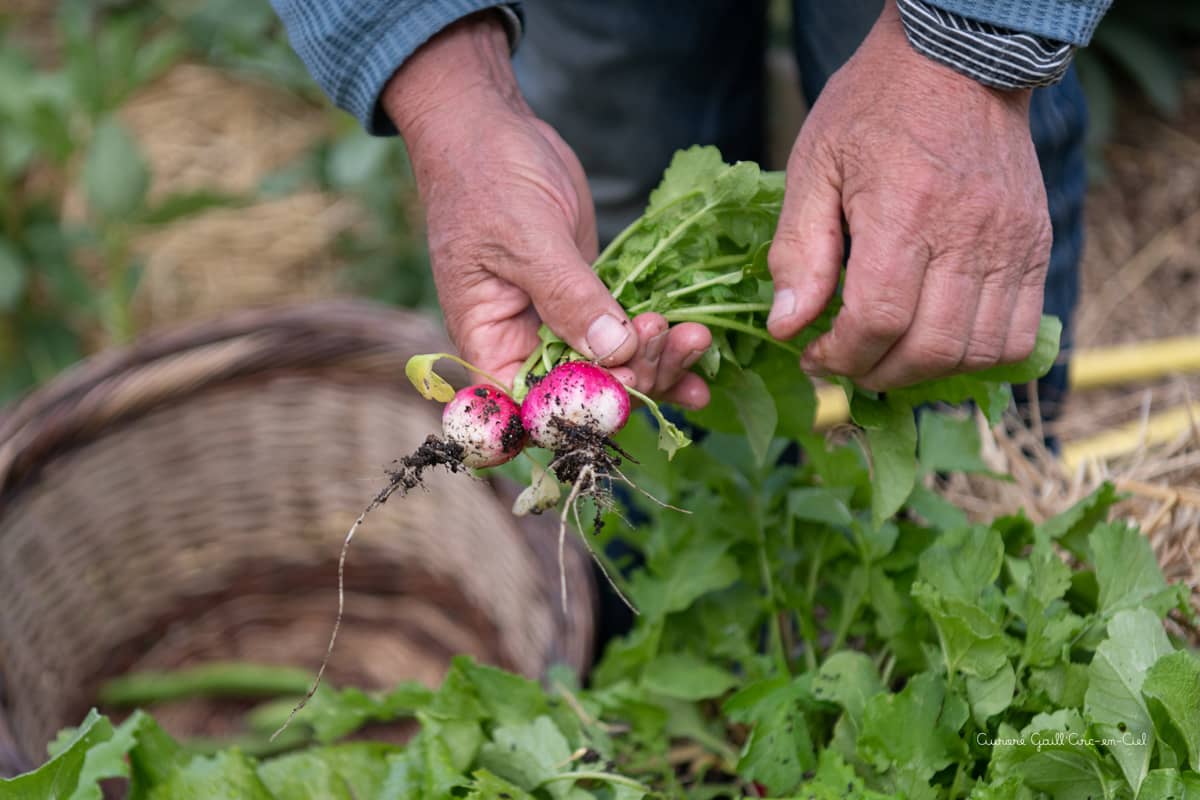 Fraîcheur et honnêteté