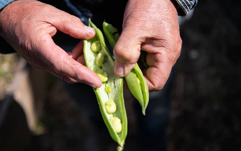 Un restaurant éco-responsable